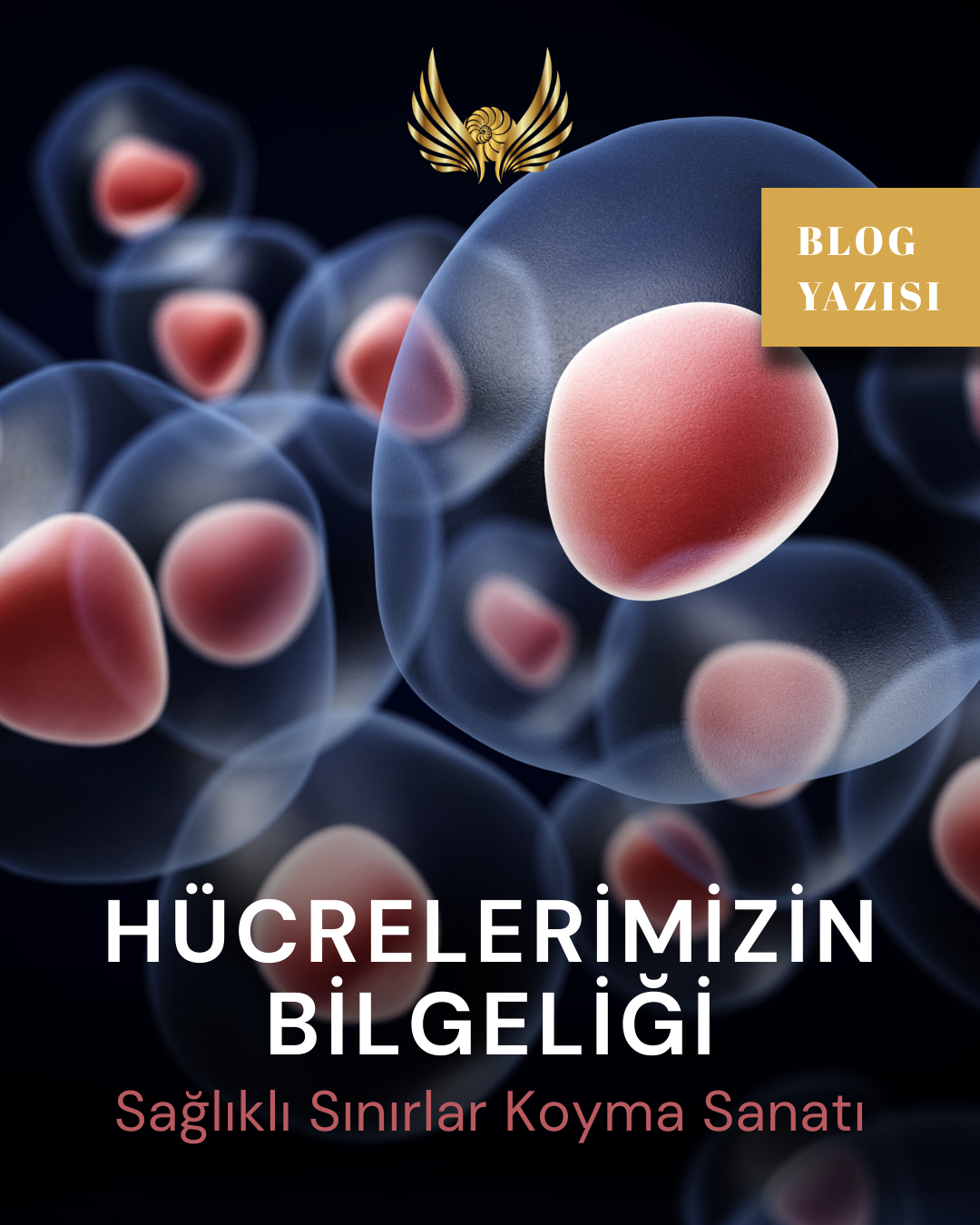Hücrelerimizin Bilgeliği - Sağlıklı Sınırlar Koyma Sanatı